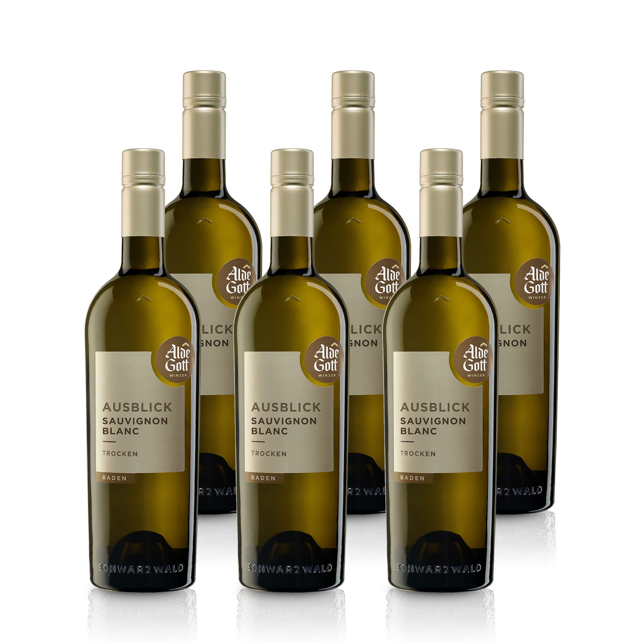 Ausblick Sauvignon Blanc Qualitätswein 2024 trocken - Alde Gott | Weißwein 0,75L 12.5 %vol.