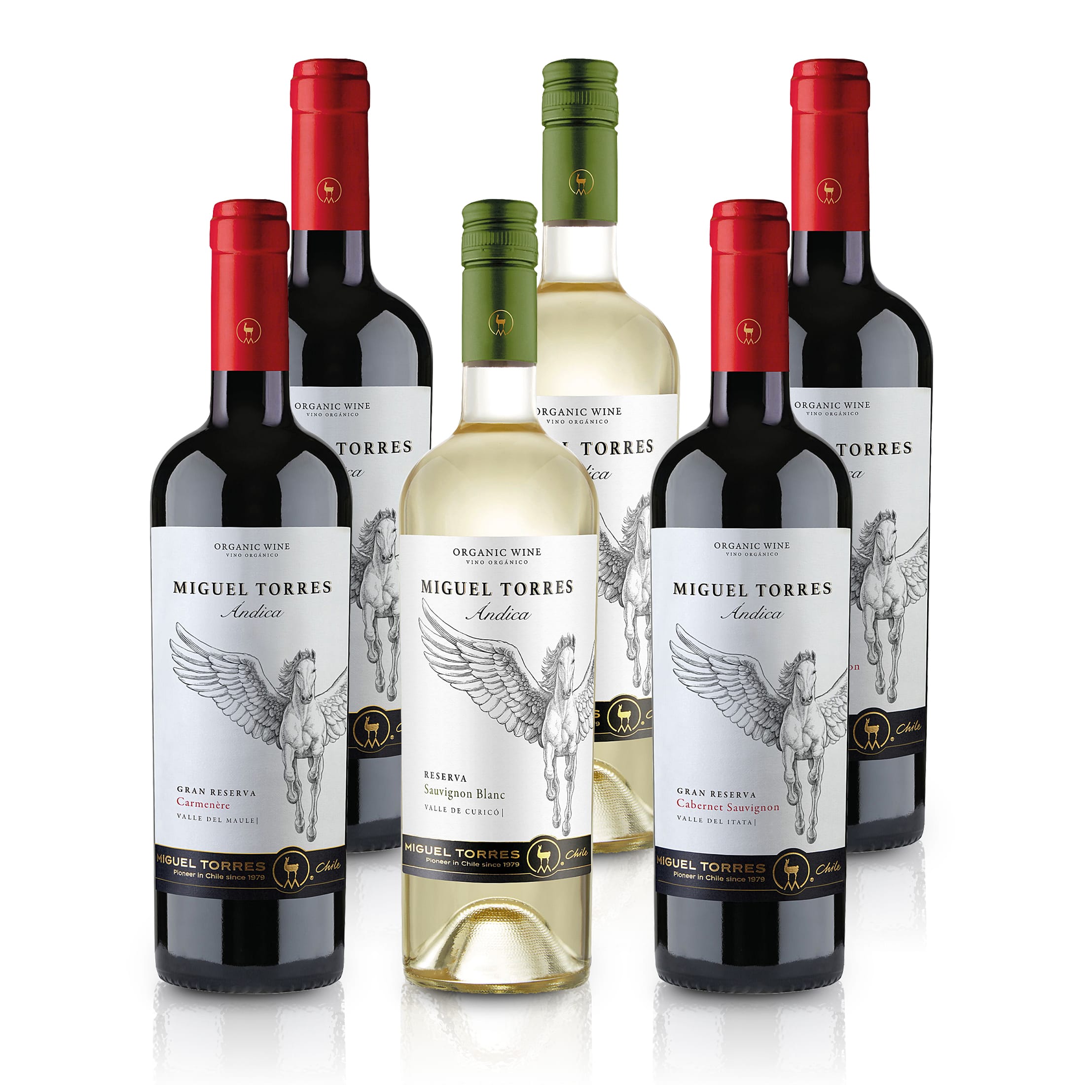 Feinste-Weine Miguel Torres Chile - Probierpaket  - 3 x 2 Chilenische Weine im Tasting Paket  (6x0,75l)