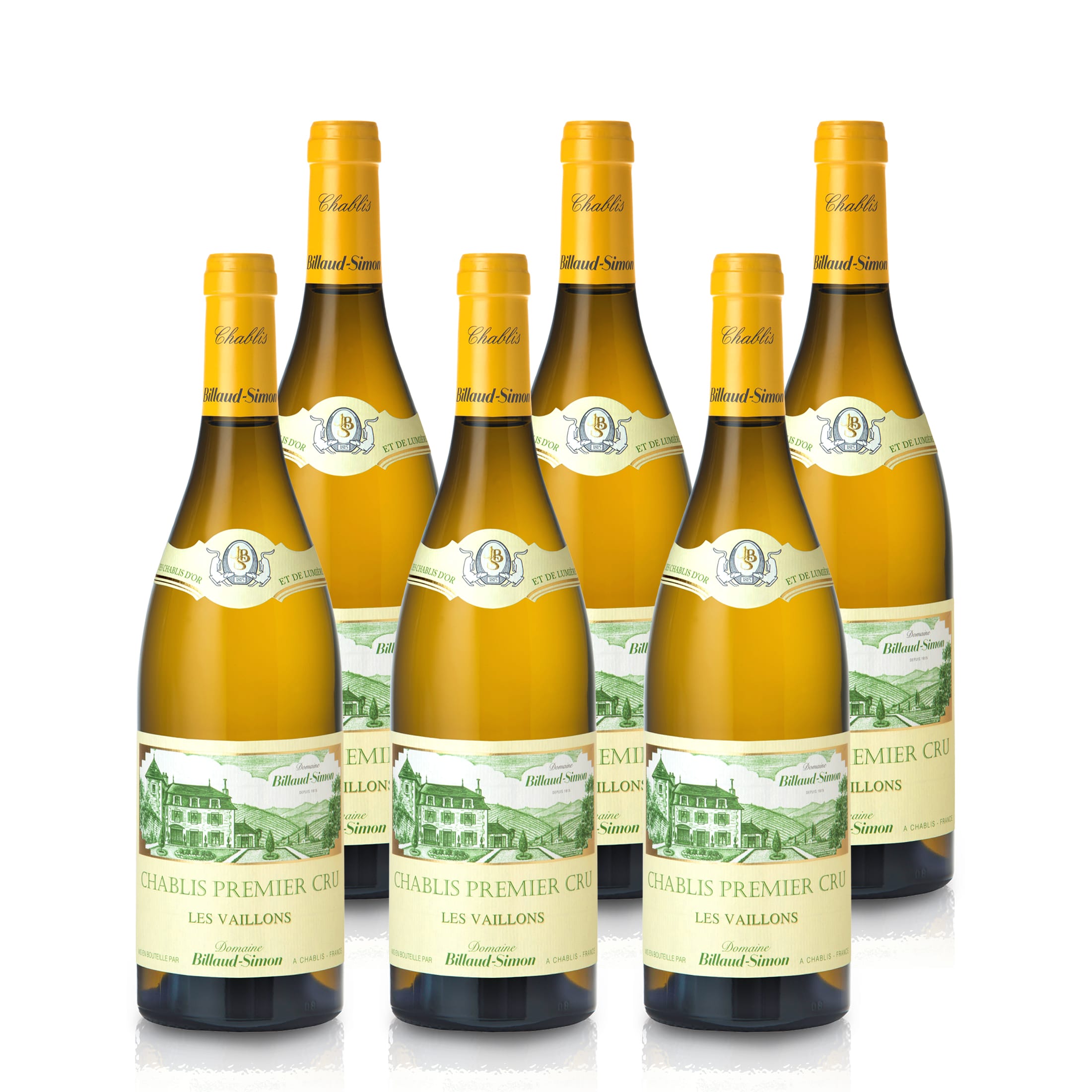 2021 Domaine Billaud-Simon Les Vaillons - Frankreich