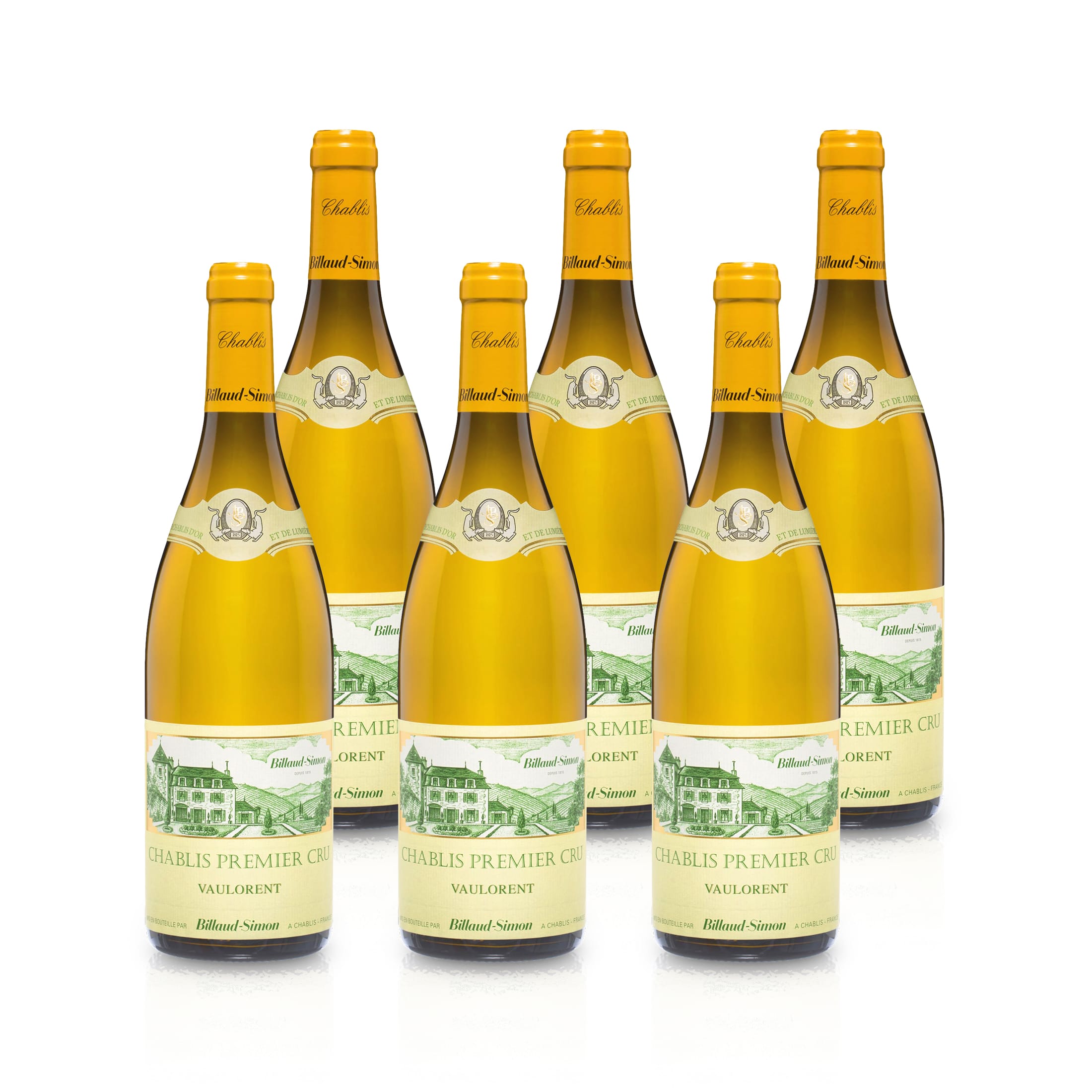 2020 Domaine Billaud-Simon Vaulorent - Frankreich