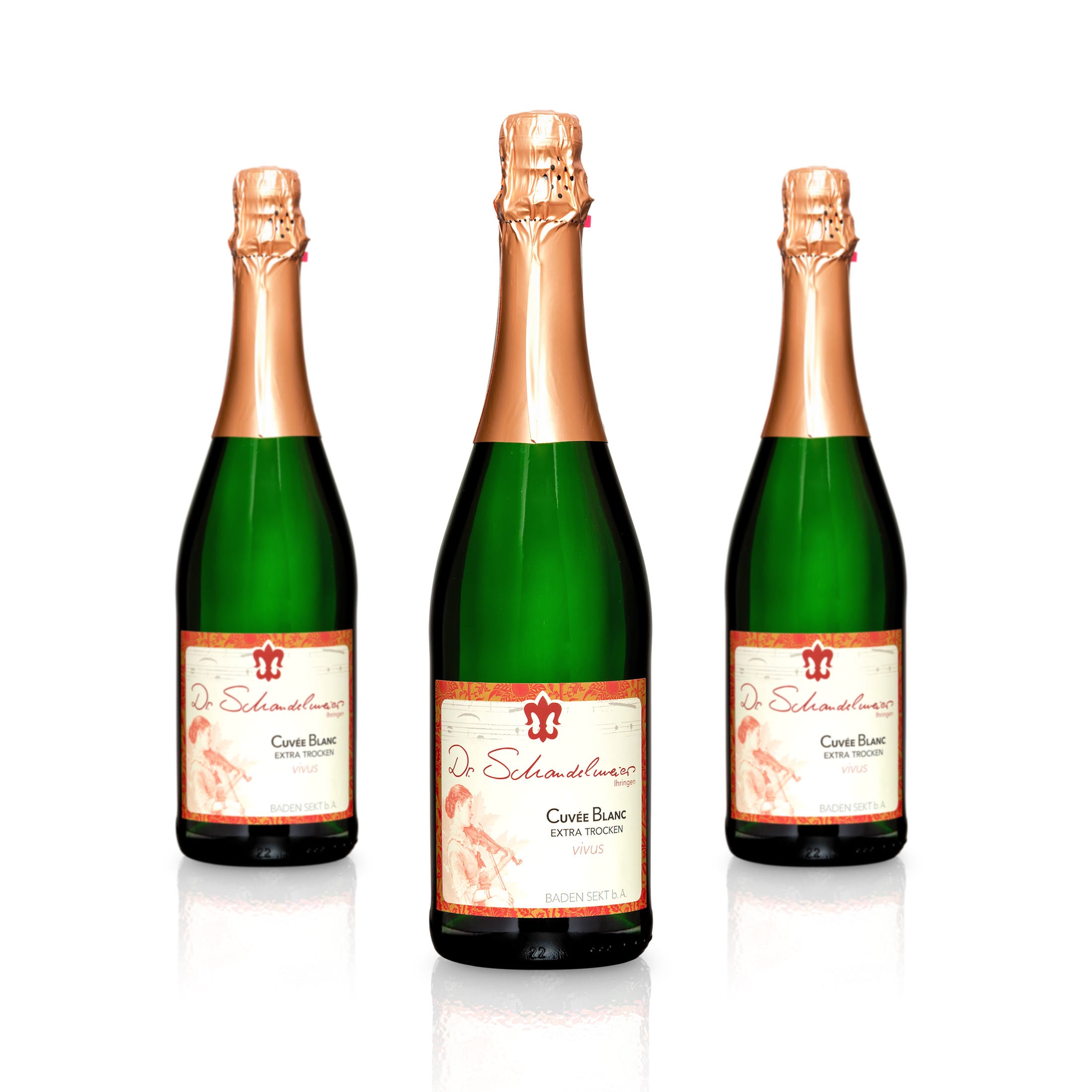 Sekt Cuvée Blanc extra-trocken - Weingut Dr. Schandelmeier