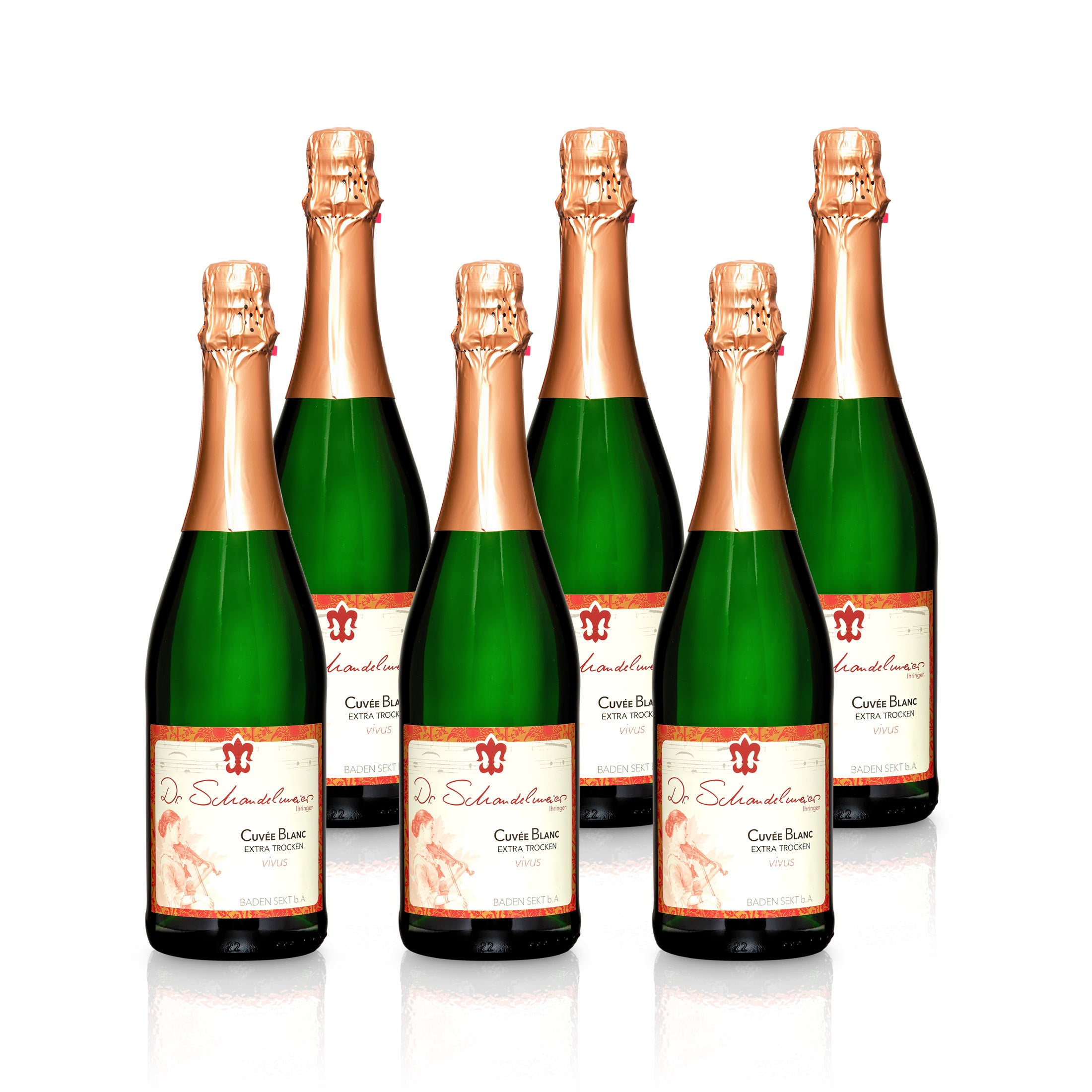Sekt Cuvée Blanc extra-trocken - Weingut Dr. Schandelmeier