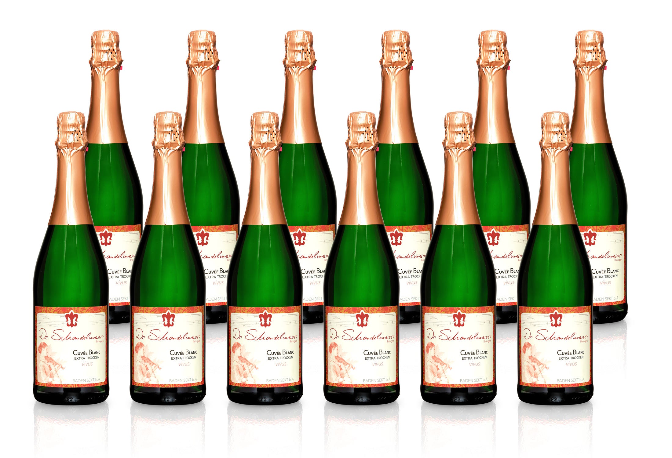 Sekt Cuvée Blanc extra-trocken - Weingut Dr. Schandelmeier