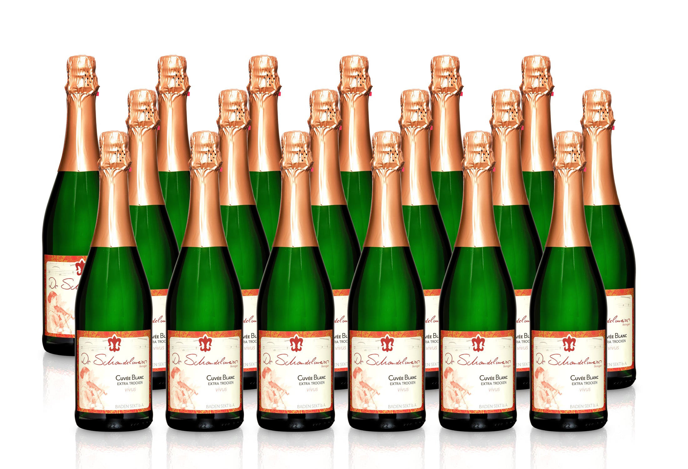 Sekt Cuvée Blanc extra-trocken - Weingut Dr. Schandelmeier