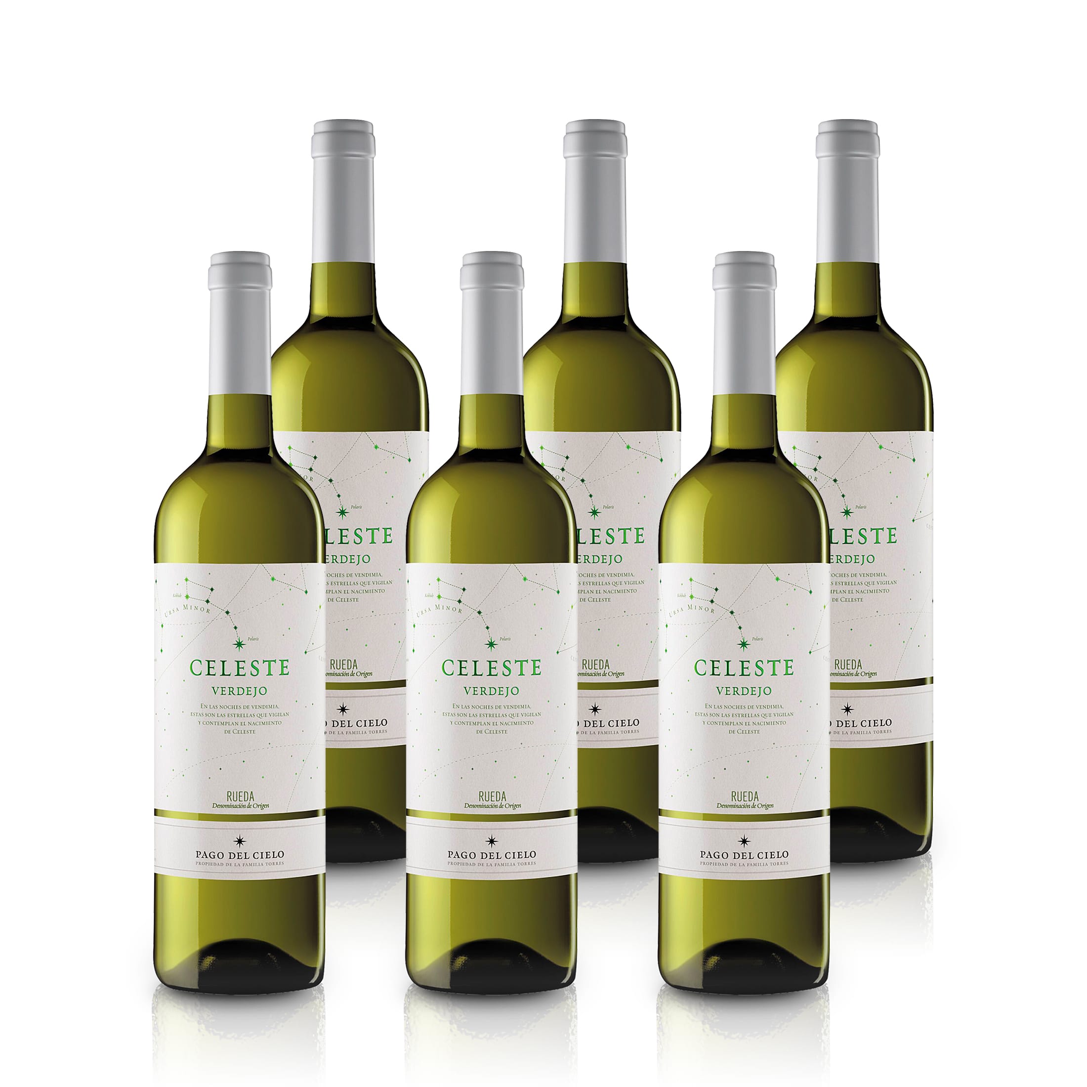 Celeste Verdejo Torres - Miguel Torres - Weißwein - Spanien - Katalonien