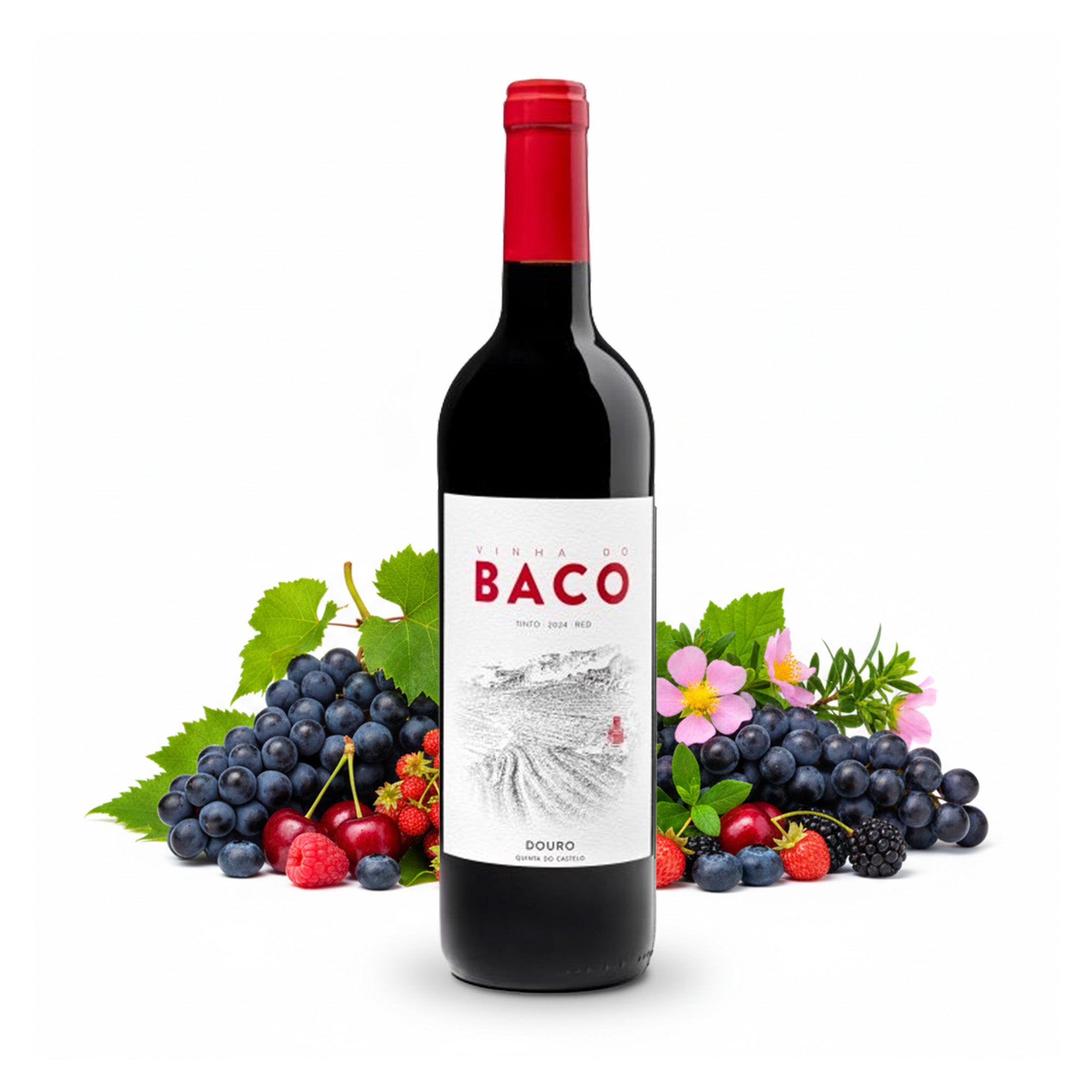 BACO Tinto Red Rotwein Fruchtig Harmonisch 13% vol 0,75 L